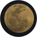 nico C. profile picture